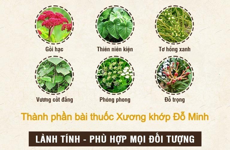 Các dược liệu được phối hợp linh hoạt, hài hòa trong bài thuốc Xương khớp Đỗ Minh