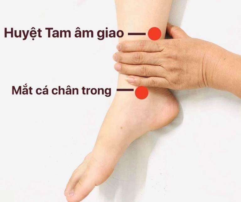 Huyệt Tam Âm Giao có ý nghĩa quan trọng trong việc điều hòa khí huyết