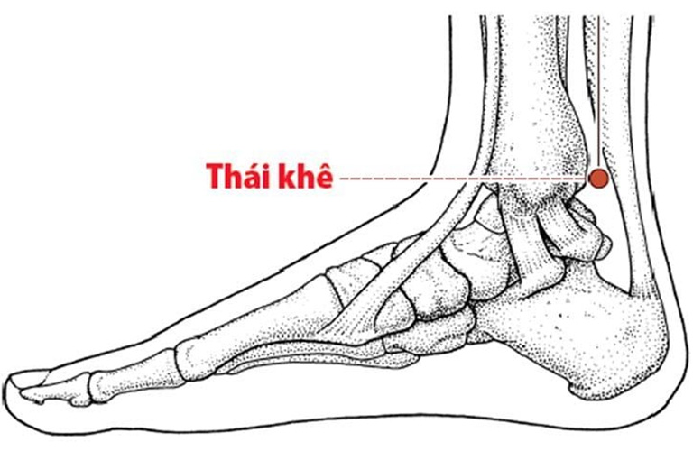 Huyệt Thái Khê có xuất xứ từ Thiên ‘Bản Du’ (LKhu.2)