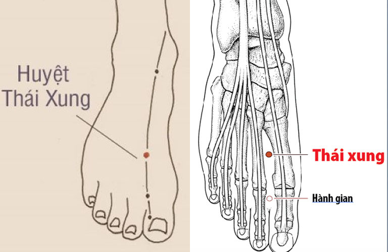 Huyệt thái xung thuộc kinh Can giúp bình can giáng nghịch