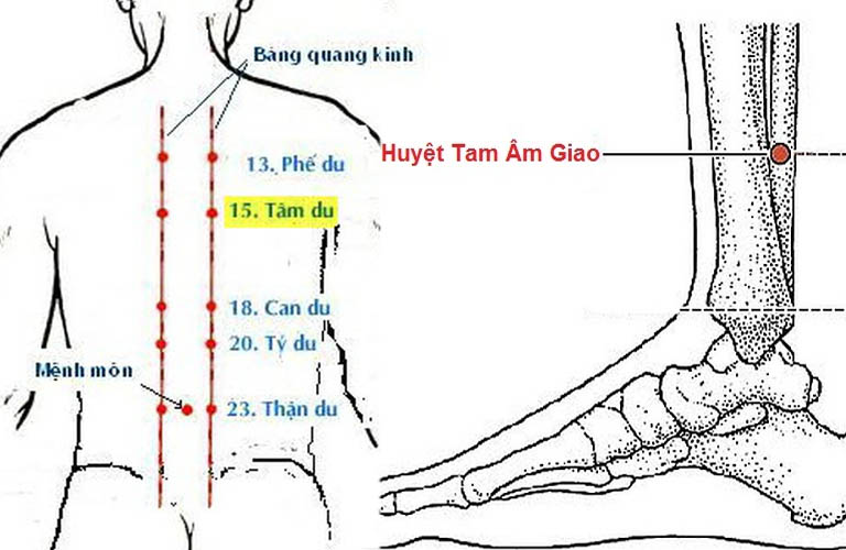 Phối huyệt thực hiện dựa theo từng mục đích chăm sóc sức khỏe