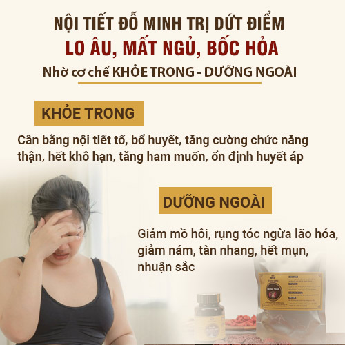 Nghiên cứu cơ chế điều trị của bài thuốc Nội tiết Đỗ Minh