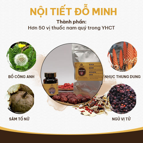 Nghiên cứu thành phần dược liệu bài thuốc Nội tiết Đỗ Minh