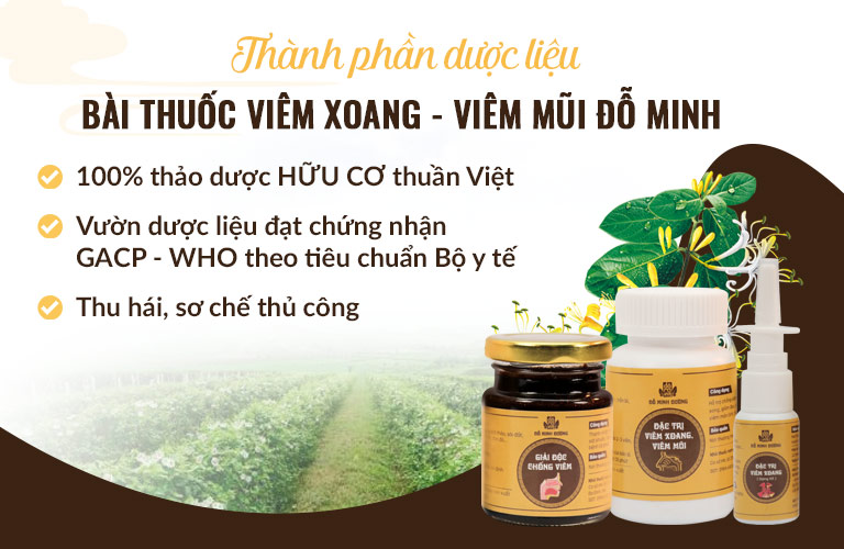 Tất cả được sơ chế cẩn thận, kết hợp với nhau theo TỶ LỆ VÀNG