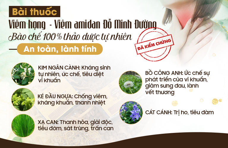 Bài thuốc Viêm Họng - Viêm Amidan Đỗ Minh có 50 loại dược liệu khác nhau